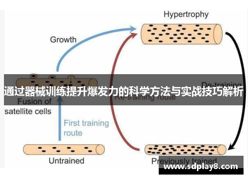 通过器械训练提升爆发力的科学方法与实战技巧解析